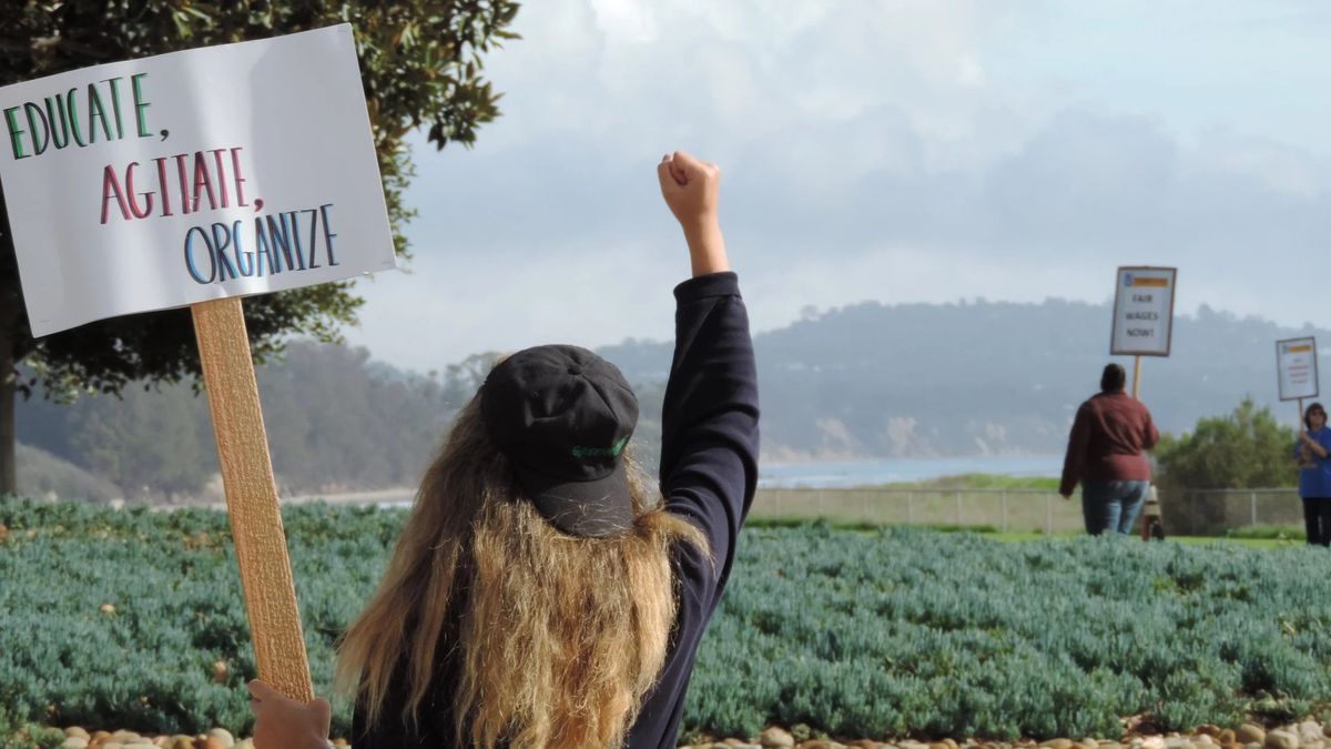 centralcoastlabor website preview