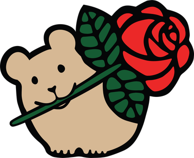 Denver DSA