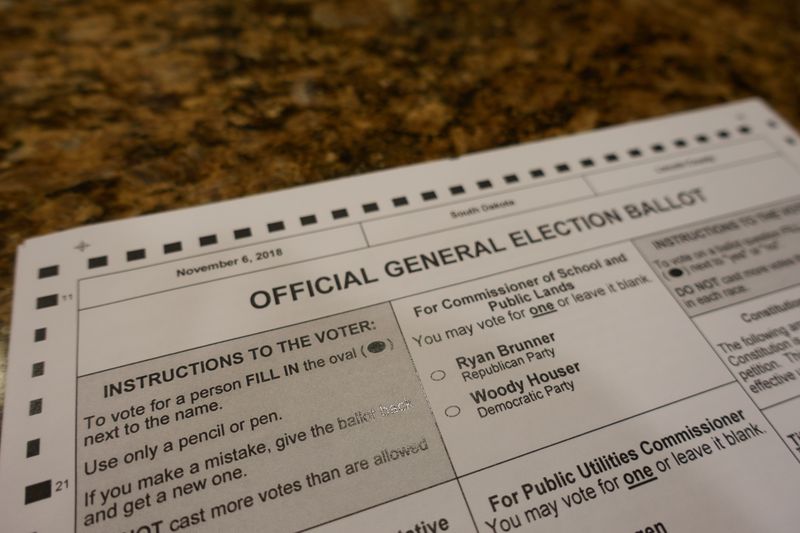 Preview your ballot