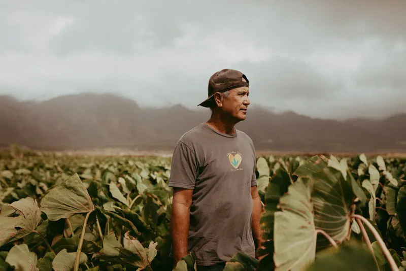 Feeding Hawaiʻi 