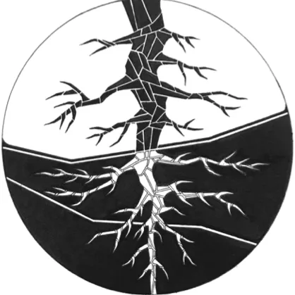 Root Volume