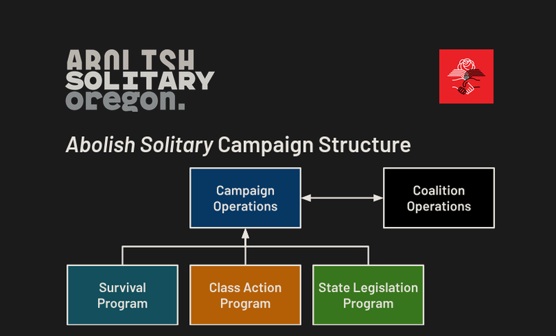 Campaign Structure(Coalition and Programs)