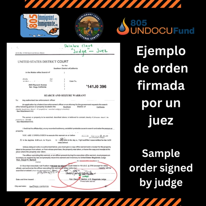 Know Your Rights Videos