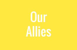 Our Allies