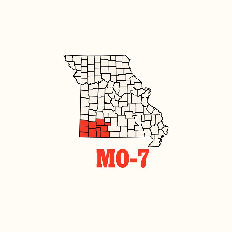 Reflections on meeting with the people of Missouri's 7th