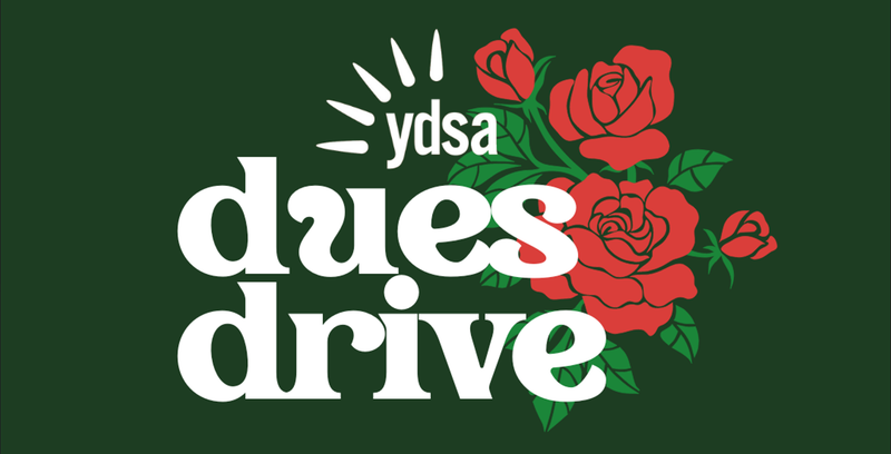 Join YDSA