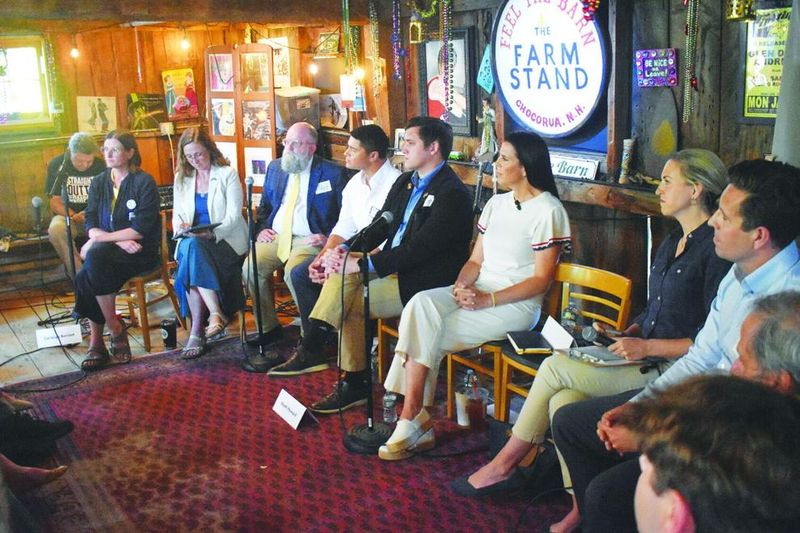 Democratic congressional hopefuls speak at Tamworth forum