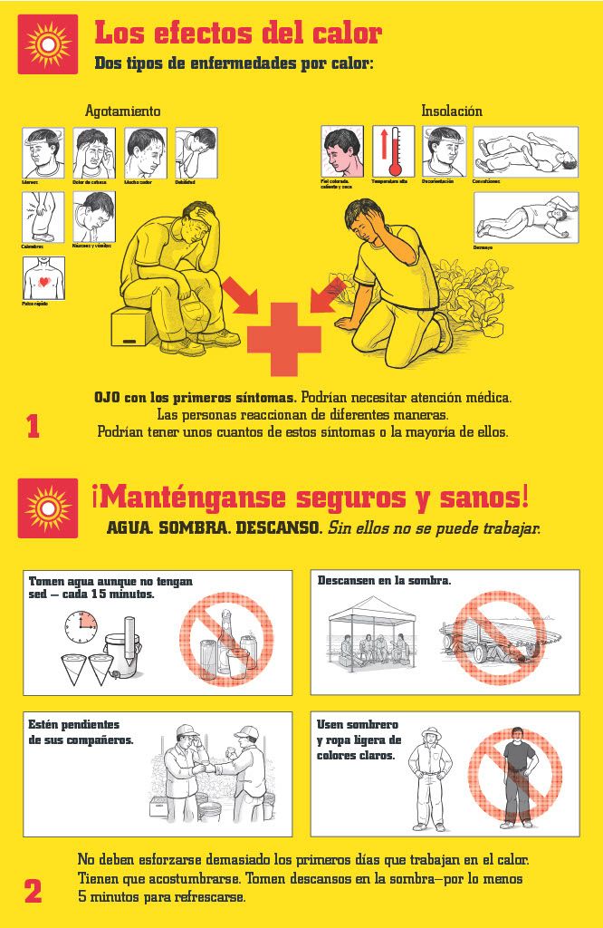 Heat Safety Poster- Spanish