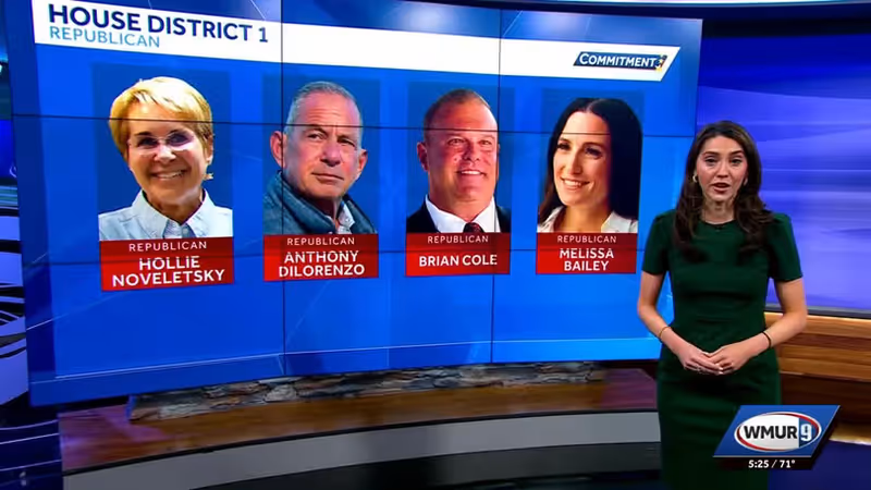 Financial disclosure statements show most candidates for US House, Senate in NH are millionaires