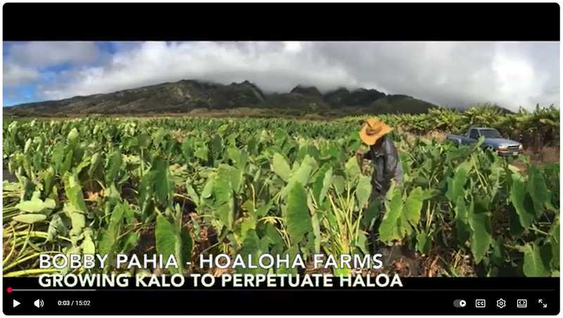 Maui's farmers support community after Lahaina fire
