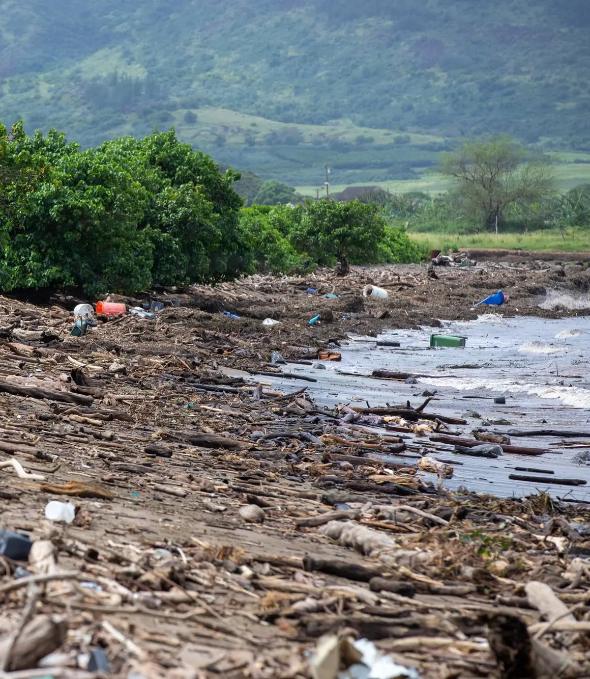 A shoreline buried in flood debris below green mountains